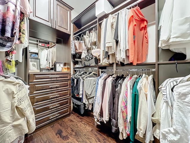 walk in closet with dark hardwood / wood-style flooring