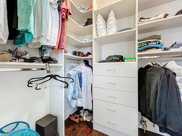 spacious closet with dark wood-type flooring