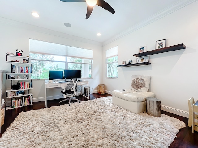 office featuring ceiling fan, crown molding, dark hardwood / wood-style floors, and plenty of natural light