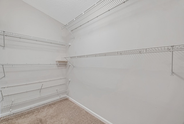 walk in closet with carpet