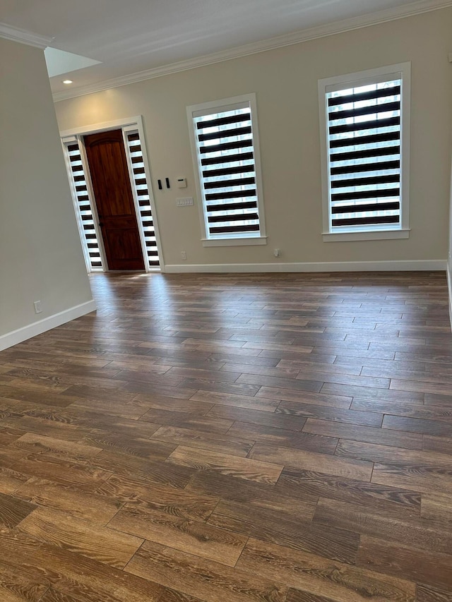 foyer with ornamental molding, dark hardwood / wood-style floors, and plenty of natural light