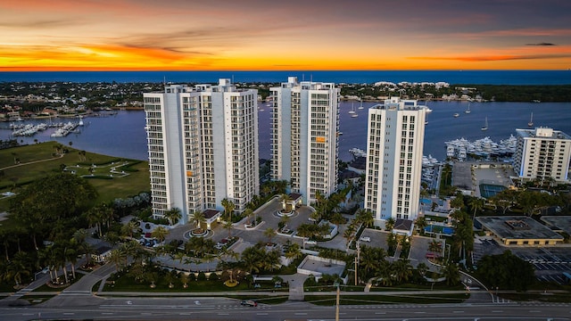 aerial view with a water view and a view of city