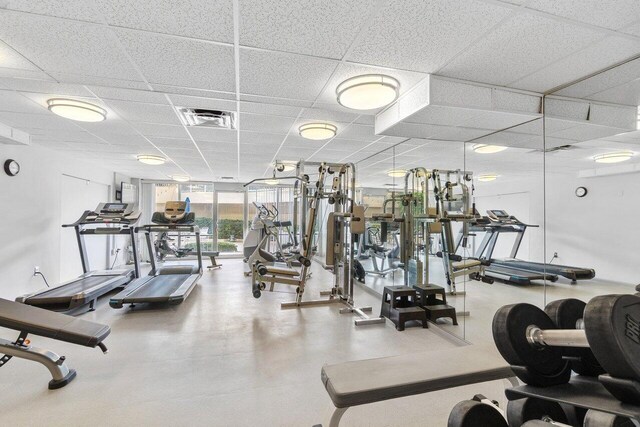 exercise room featuring floor to ceiling windows and a drop ceiling