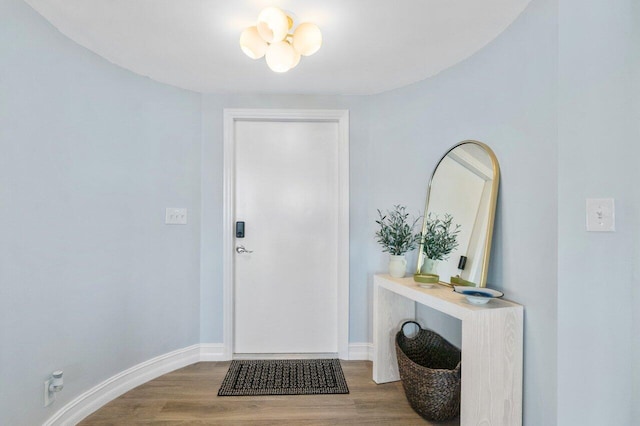 entrance foyer with wood-type flooring