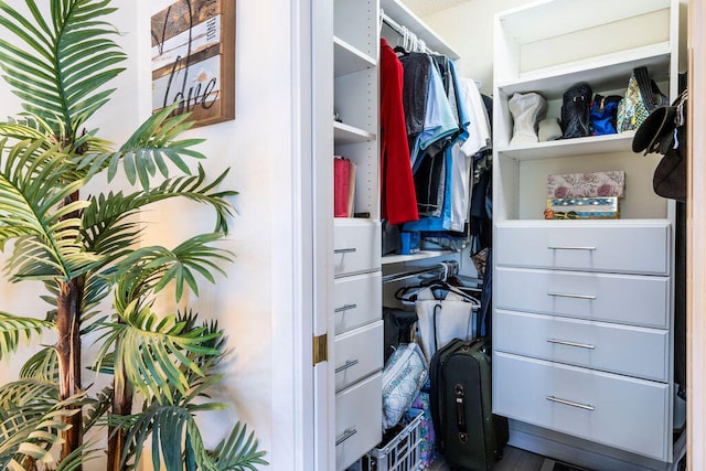 view of spacious closet