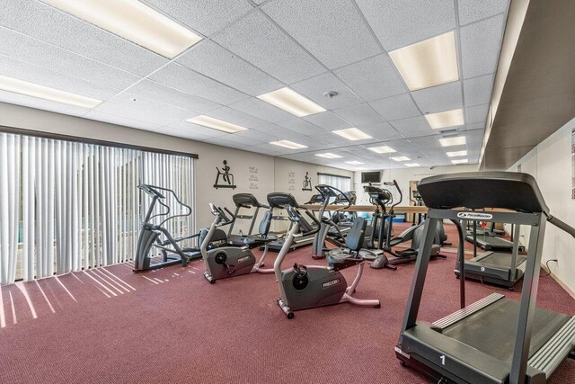 exercise room featuring a paneled ceiling, a wealth of natural light, and carpet