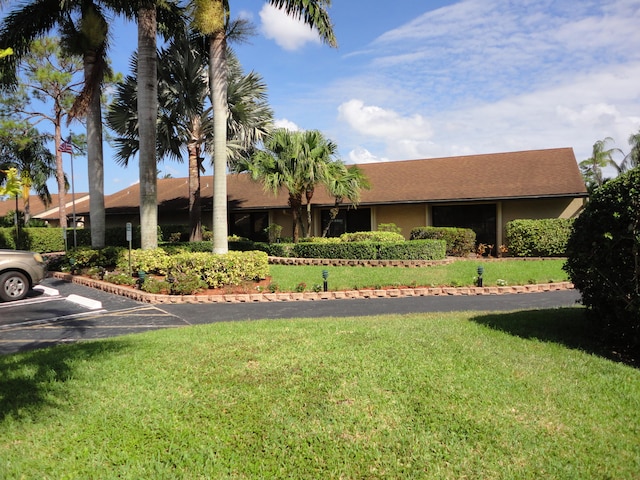 ranch-style house featuring a front lawn