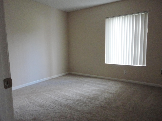 carpeted spare room with a wealth of natural light