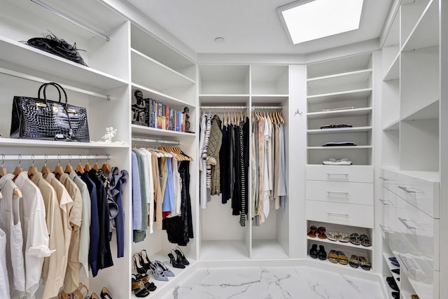 view of walk in closet