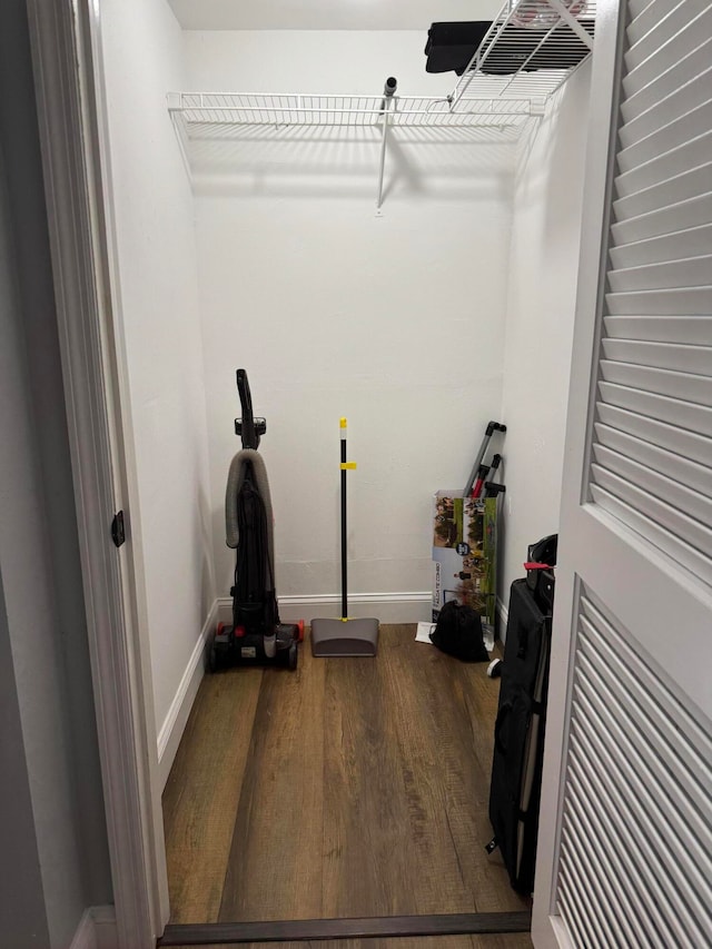 spacious closet featuring wood-type flooring