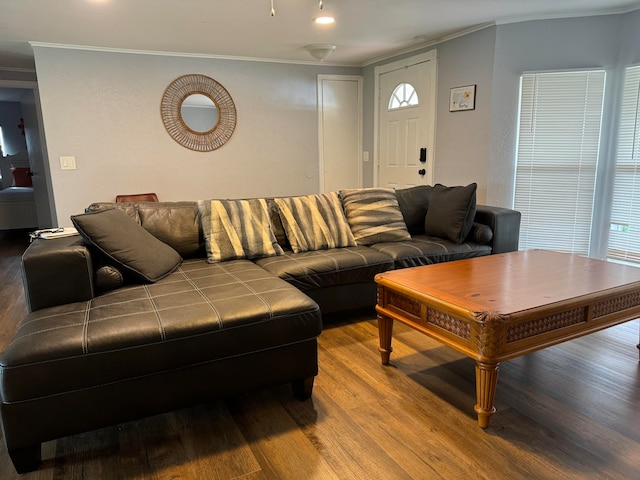 living room with a wealth of natural light, light hardwood / wood-style flooring, and crown molding