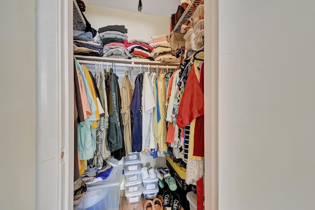 view of walk in closet