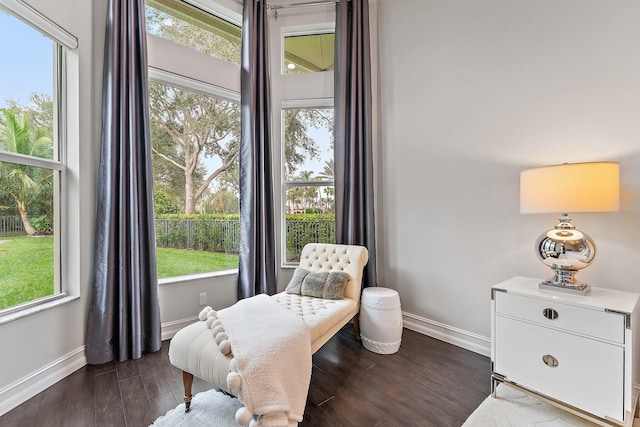 sitting room with dark wood-type flooring