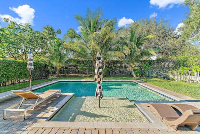 view of pool with a patio area