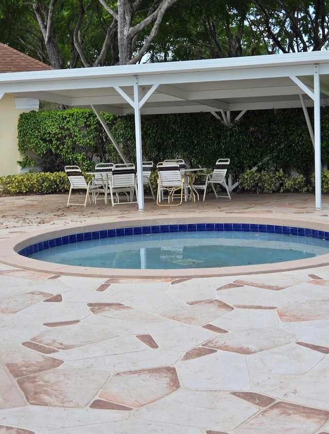 view of swimming pool featuring a patio area