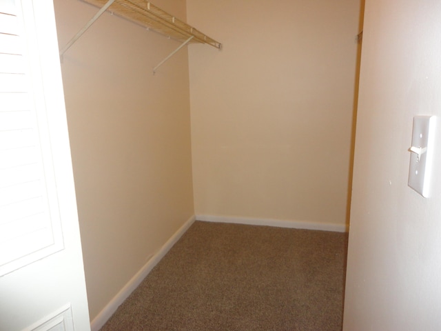 spacious closet featuring carpet