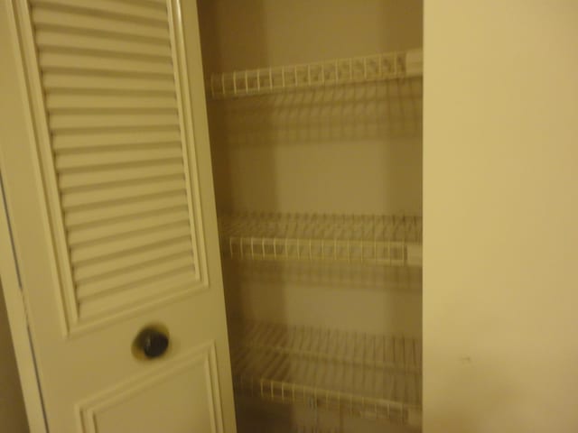 view of closet