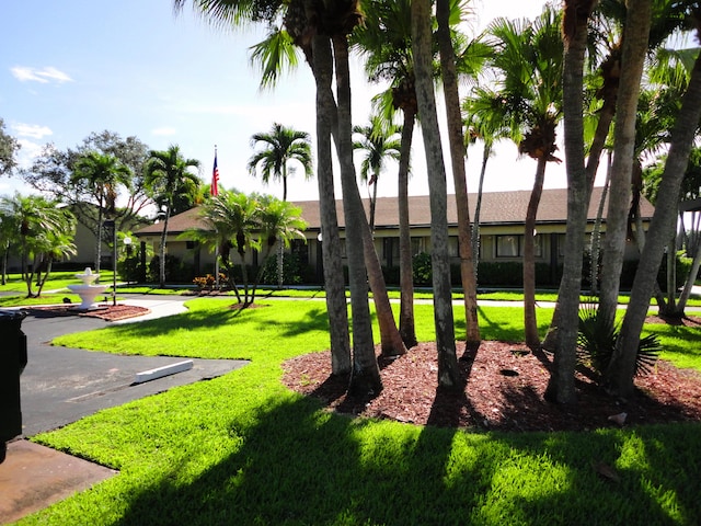 view of home's community featuring a yard