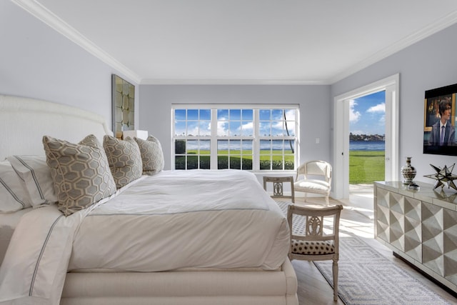 bedroom featuring crown molding and access to exterior