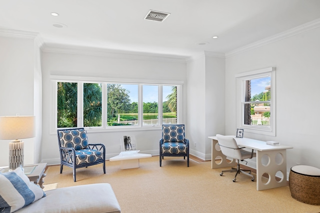 carpeted home office with crown molding