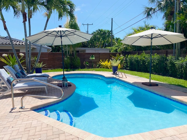 view of swimming pool with a patio