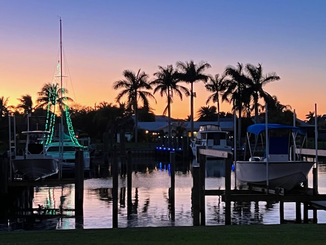 dock area with a water view