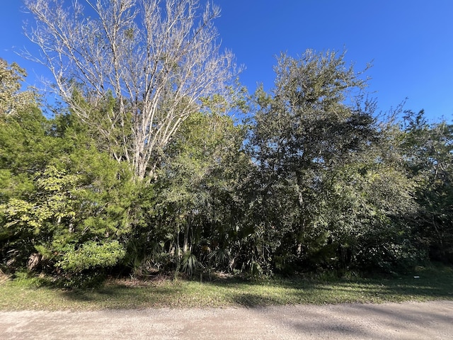 9667 S Lotus Pt, Homosassa, FL 34448