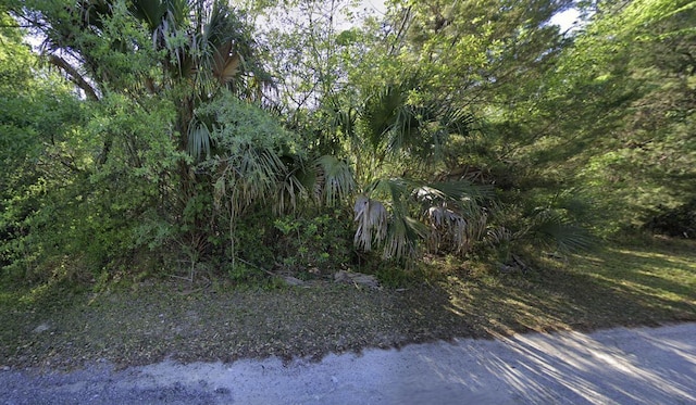 9667 S Lotus Pt, Homosassa, FL 34448