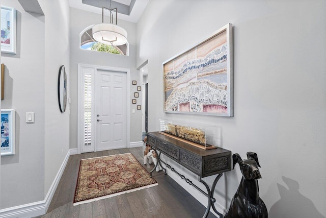 entryway featuring a high ceiling and dark hardwood / wood-style flooring