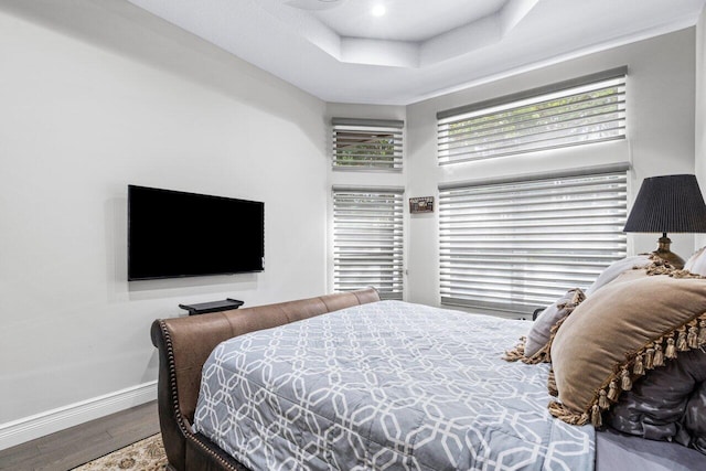 bedroom with a tray ceiling and wood-type flooring