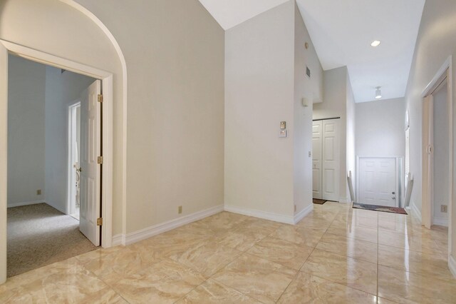 carpeted spare room featuring a towering ceiling