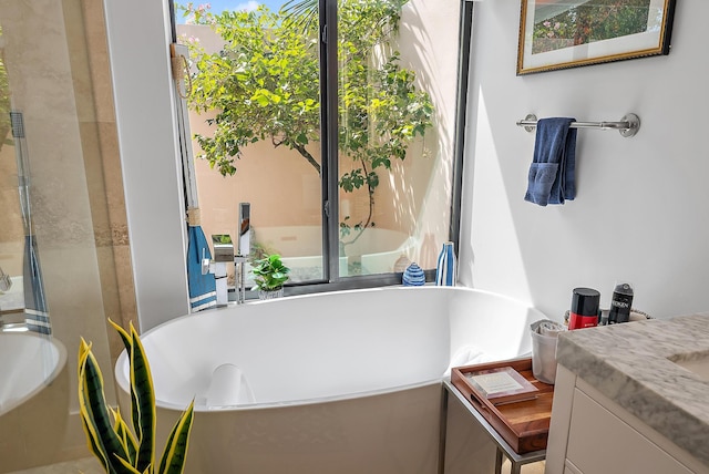 bathroom with vanity and a bathing tub