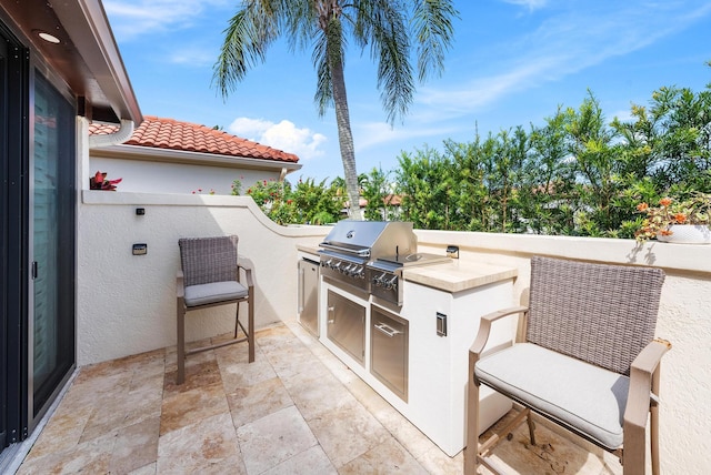 view of patio / terrace with an outdoor kitchen