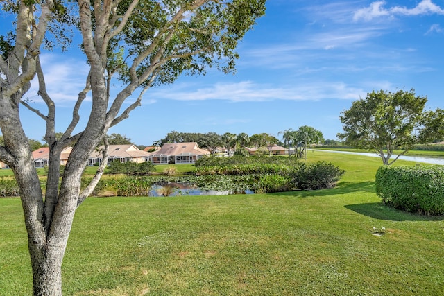 view of yard with a water view