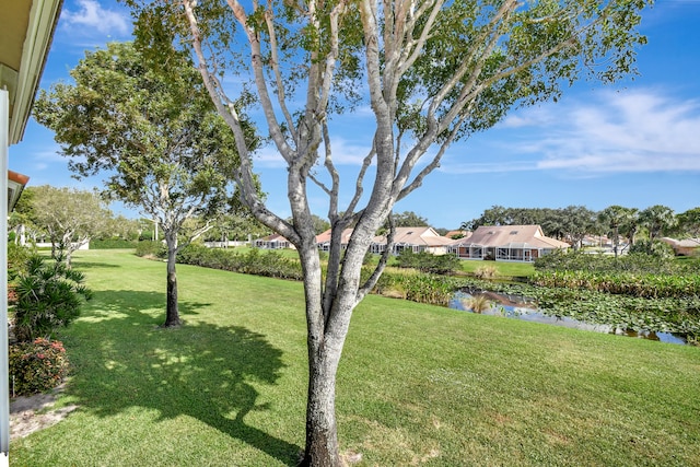 view of yard featuring a water view