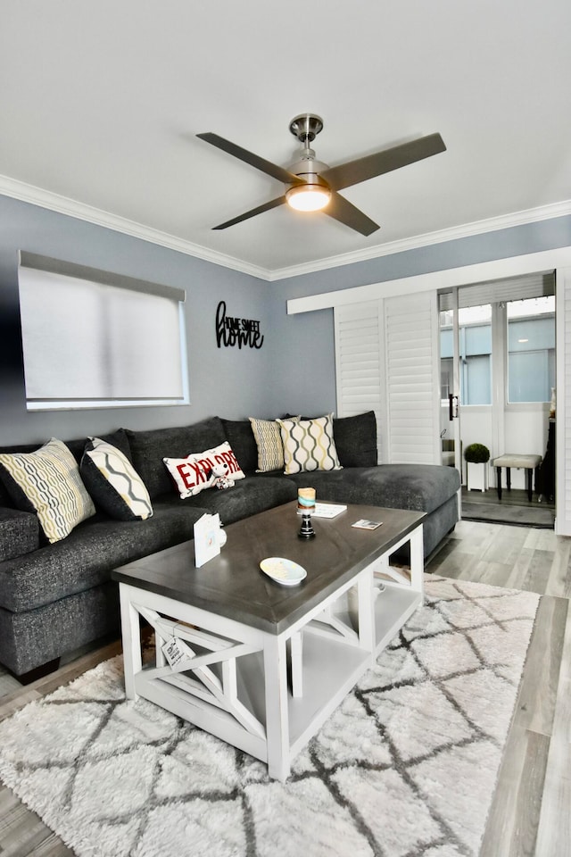 living room with wood-type flooring, ceiling fan, and crown molding