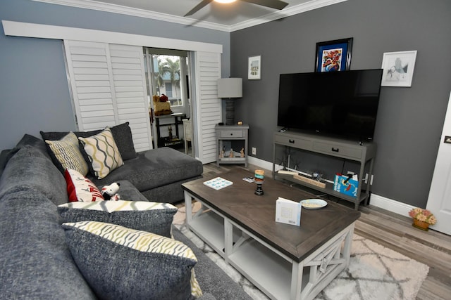 living room with hardwood / wood-style floors, ceiling fan, and ornamental molding