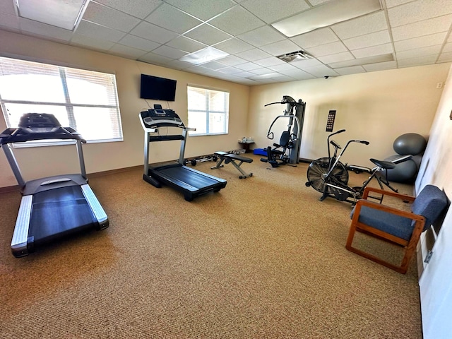 workout room with carpet, a paneled ceiling, and plenty of natural light