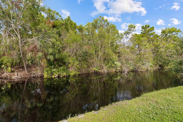 view of local wilderness with a water view