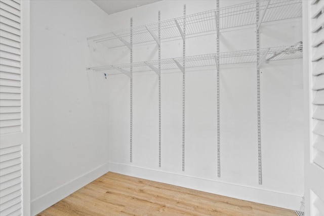 spacious closet featuring wood-type flooring