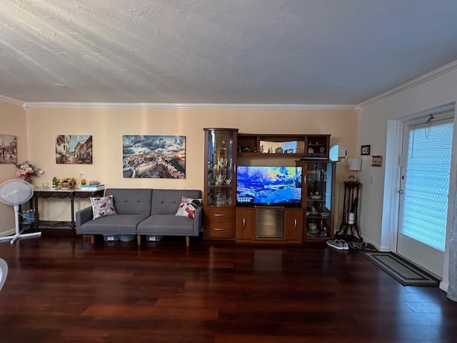 living room with crown molding, dark wood-type flooring, and a textured ceiling