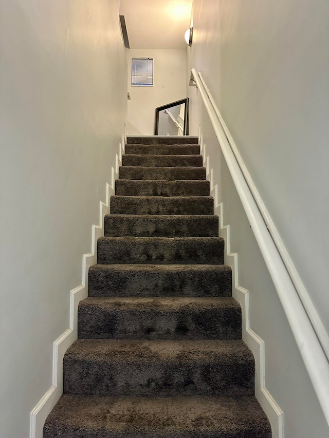 stairway featuring carpet floors