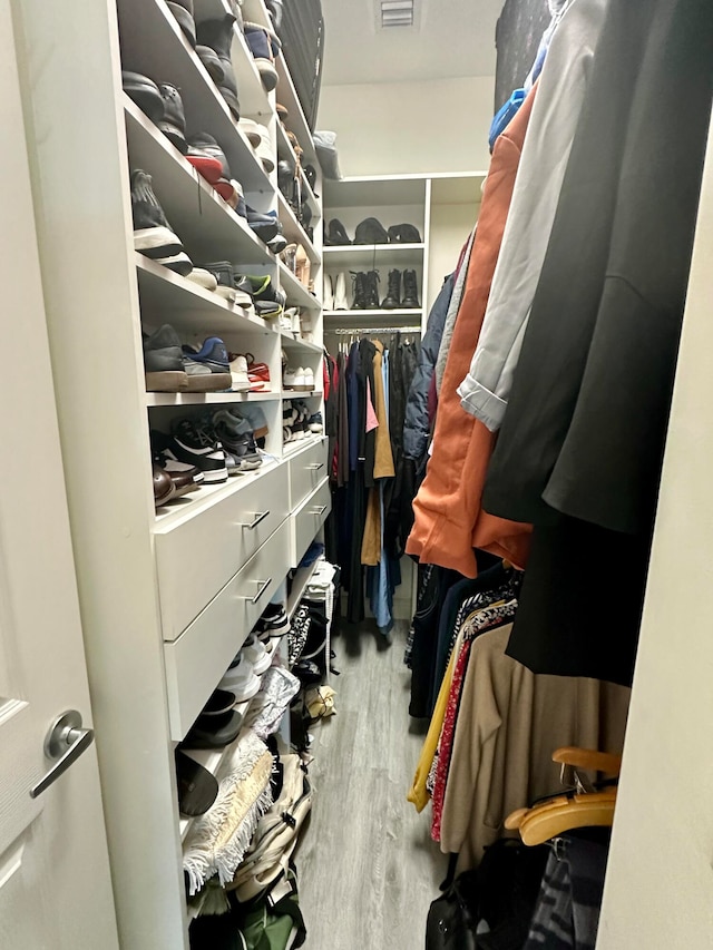 spacious closet with hardwood / wood-style flooring