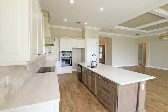 kitchen featuring a large island with sink, sink, light wood-type flooring, appliances with stainless steel finishes, and white cabinetry