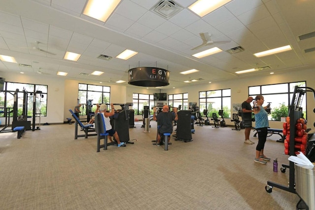 workout area featuring a paneled ceiling, a wealth of natural light, and light colored carpet