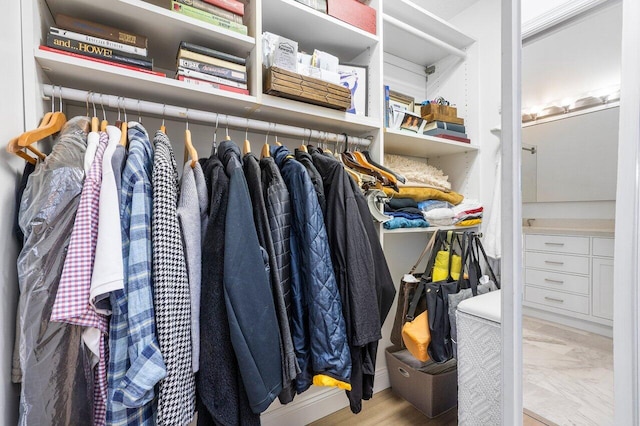 view of closet