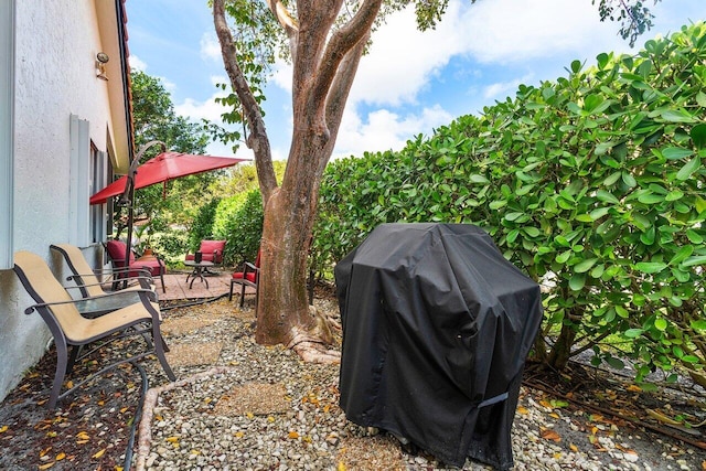 view of yard featuring a patio