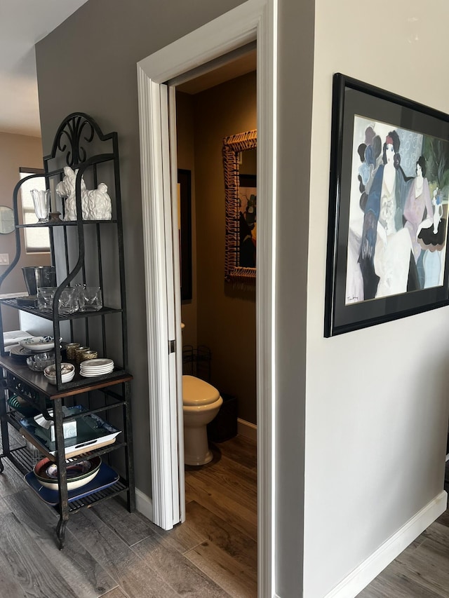 bathroom with hardwood / wood-style floors and toilet