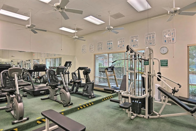 gym featuring a high ceiling and carpet floors