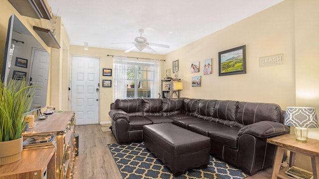 living room featuring ceiling fan and hardwood / wood-style floors